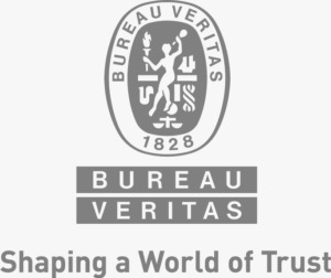 Bureau Veritas Logo